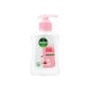 DETTOL-SKIN-CARE-HW-250ML-DAILY-FILLS