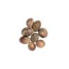 DF JAIFAIL 100G DAILY FILLS