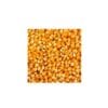 DF POP CORN 100G DAILY FILLS